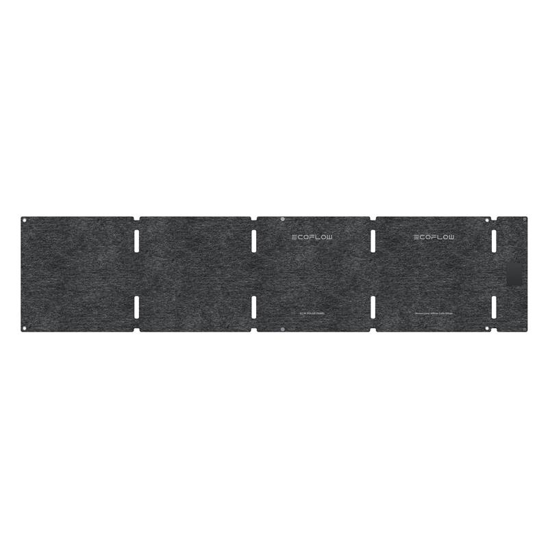 Ecoflow Panel Solar 60W Tipo C